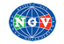 北京恩格威NGV标志